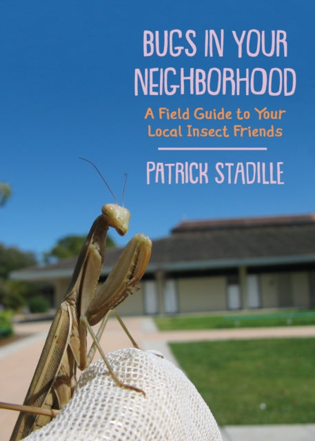 Bugs in Your Neighborhood: A Field Guide to Your Local Insect Friends