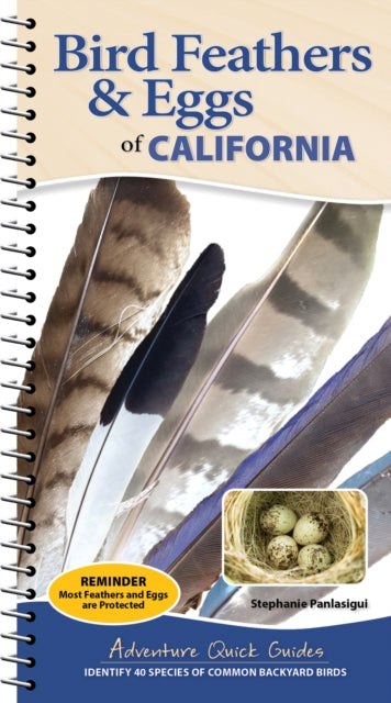 Bird Feathers & Eggs of California: Identify 40 Species of Common Backyard Birds