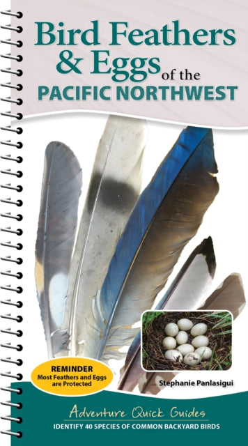Bird Feathers & Eggs of the Pacific Northwest: Identify 44 Species of Common Backyard Birds