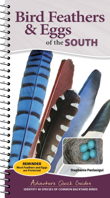 Bird Feathers & Eggs of the South: Identify 40 Species of Common Backyard Birds