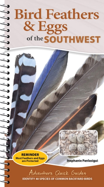 Bird Feathers & Eggs of the Southwest: Identify 40 Species of Common Backyard Birds
