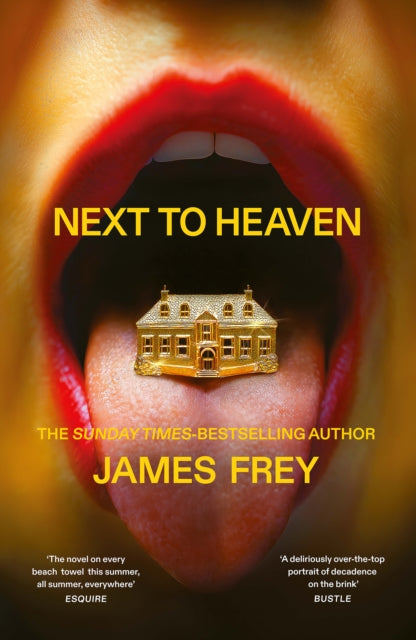 Next to Heaven: The PROVOCATIVE new novel from BESTSELLING author of A Million Little Pieces
