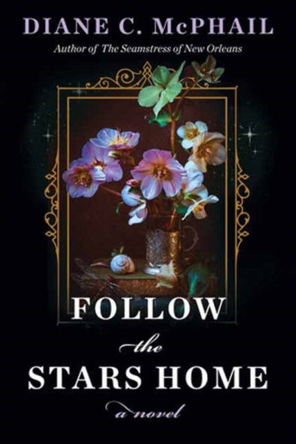 Follow the Stars Home