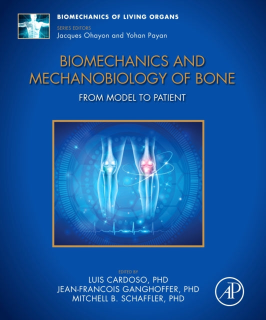 Biomechanics and Mechanobiology of Bone: From Model to Patient