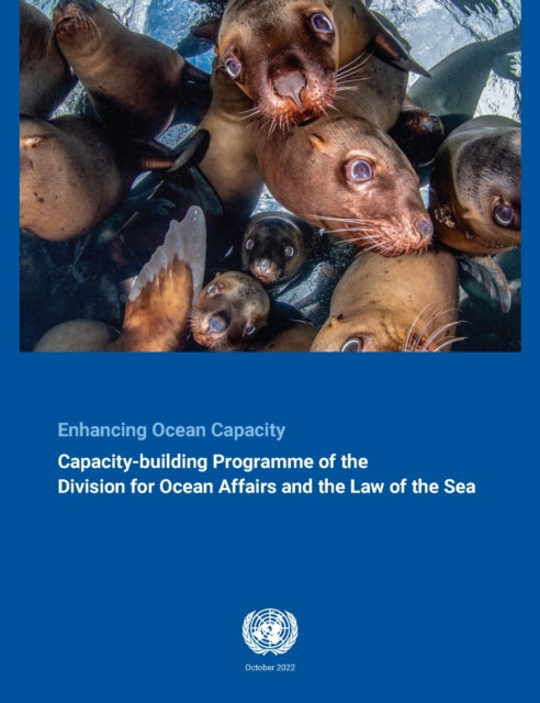 Enhancing ocean capacity: the capacity-building programme of the Division for Ocean Affairs and the Law of the Sea