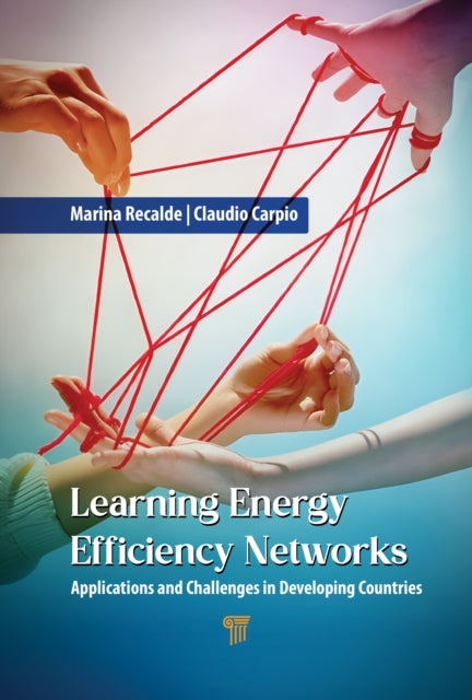 Learning Energy Efficiency Networks: Applications and Challenges in Developing Countries