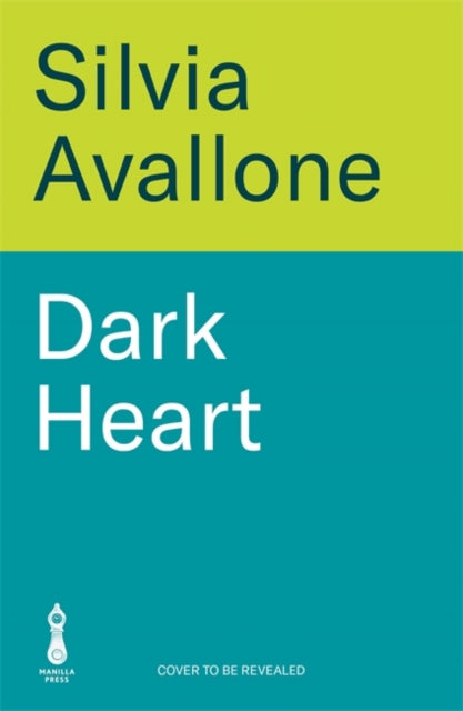 Dark Heart: The unforgettable, award-winning international bestseller - a story of love, guilt, betrayal and atonement