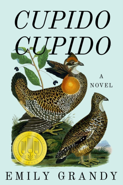 Cupido Cupido: A Novel