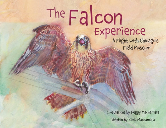 The Falcon Experience: A Flight with Chicago's Field Museum