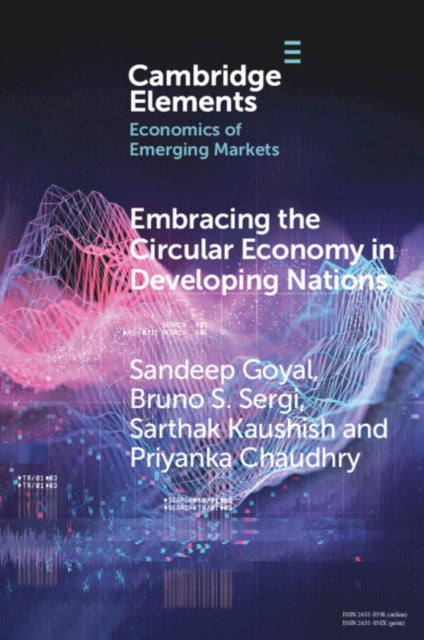 Embracing the Circular Economy in Developing Nations: A Pathway to Sustainable Growth and Resilience