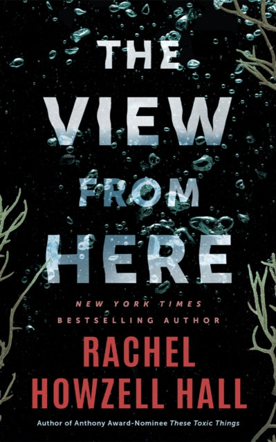 The View from Here: A Thriller