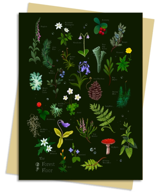 Anna Stead Forest Floor Greeting Card Pack: Pack of 6