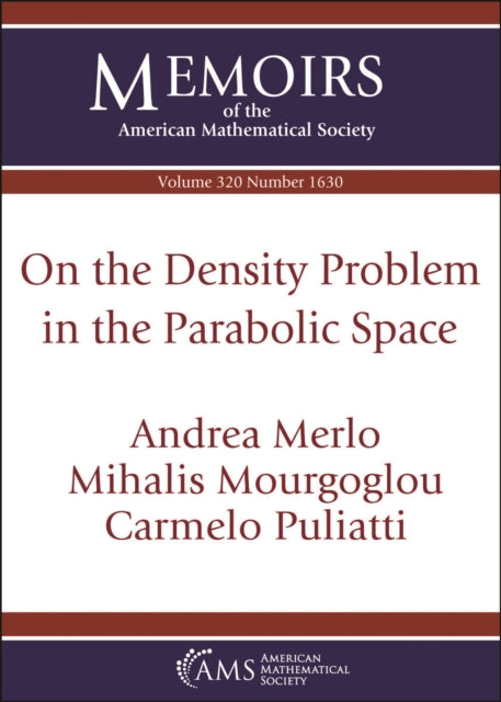 On the Density Problem in the Parabolic Space