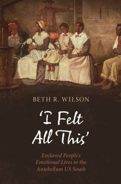 ‘I Felt All This’: Enslaved People's Emotional Lives in the Antebellum US South
