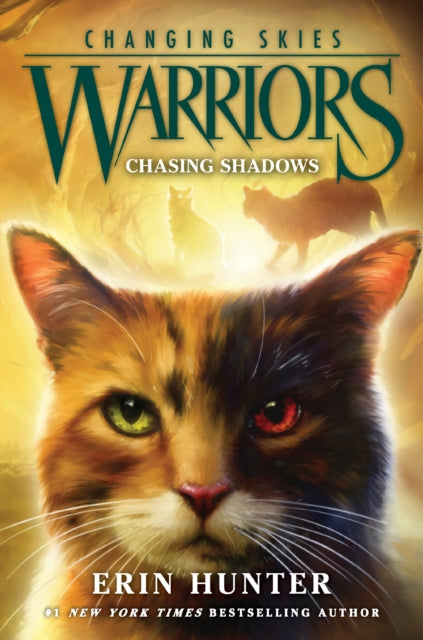 Warriors: Changing Skies #3: Chasing Shadows