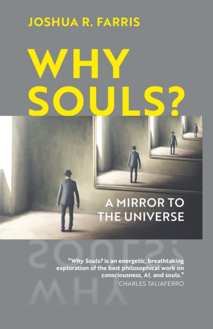 Why Souls?: A Mirror to the Universe