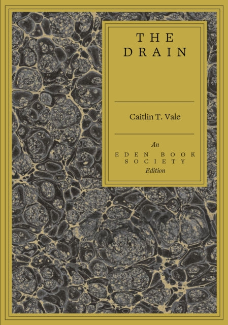 The Drain