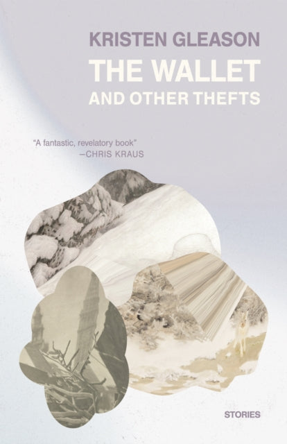 The Wallet and Other Thefts: Stories