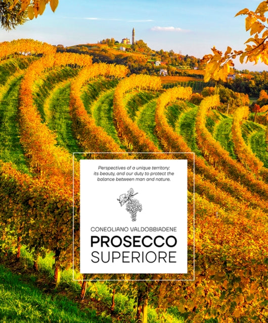 Prosecco Superiore: Conegliano Valdobbiadene — Perspectives of a Unique Territory