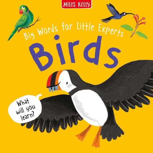 Birds