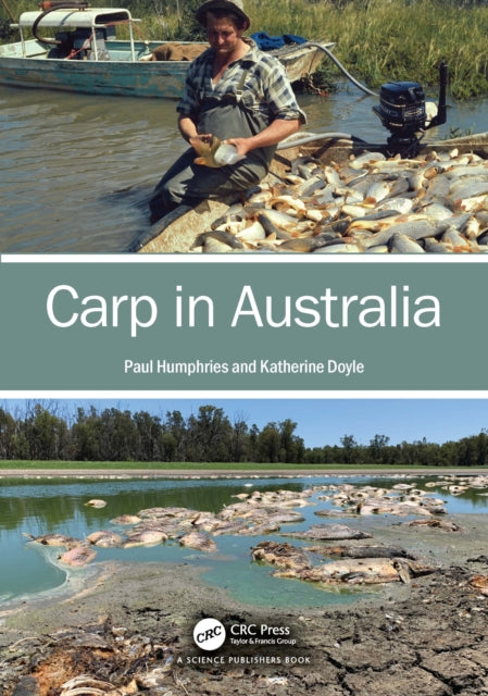 Carp in Australia