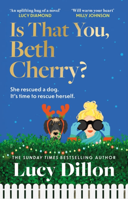 Is That You, Beth Cherry?: Curl up with a warm, funny, feel-good story from Sunday Times besteller Lucy Dillon