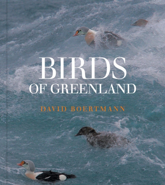 Birds of Greenland: An annotated and updated checklist