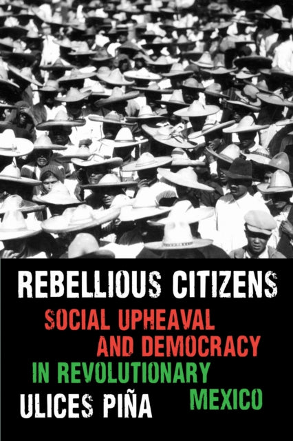 Rebellious Citizens: Social Upheaval and Democracy in Revolutionary Mexico
