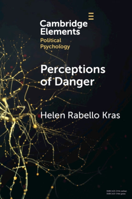 Perceptions of Danger: How Risk Assessments Underpin Attitudes on Crime and Intimate Partner Violence