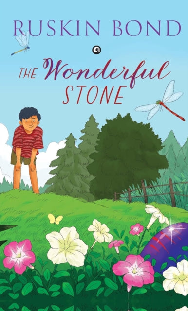 The Wonderful Stone