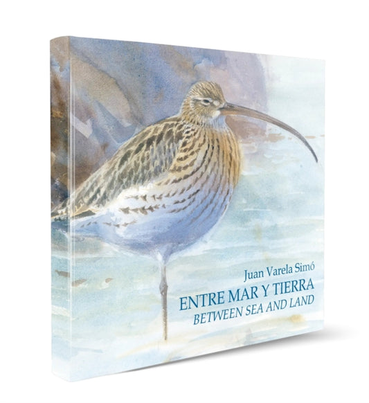 Between Sea and Land / Entre Mar y Tierra