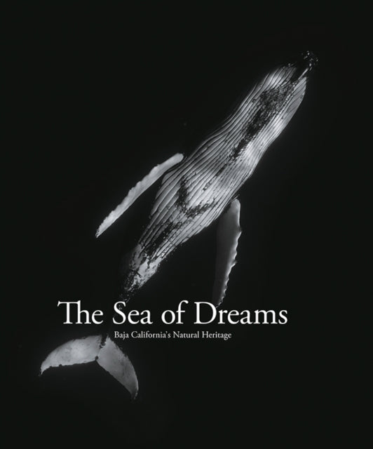 The Sea of Dreams: Baja California's Natural Heritage