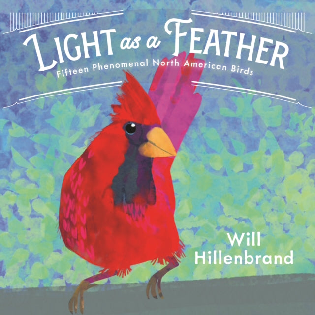 Light as a Feather: Fifteen Phenomenal North American Birds