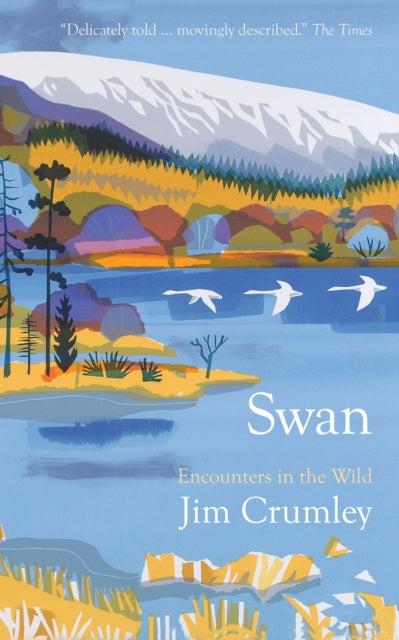 Swan