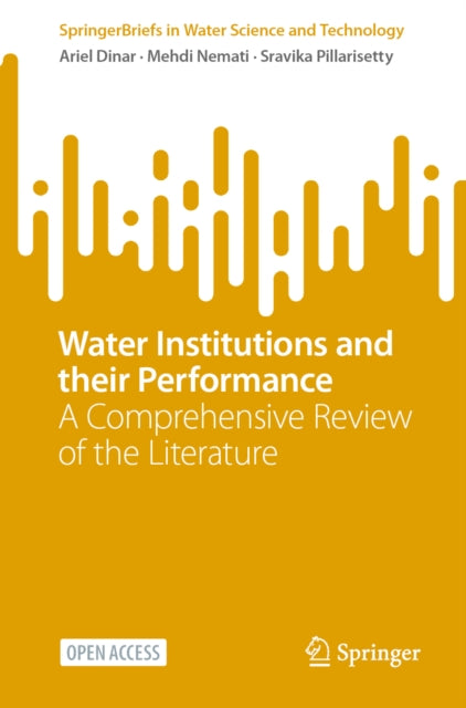 Water Institutions and their Performance: A Comprehensive Review of the Literature