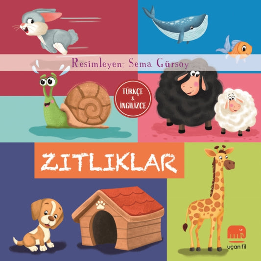 T?rk?e ve Ingilizce - Zitliklar