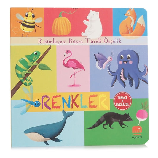T?rk?e ve Ingilizce - Renkler