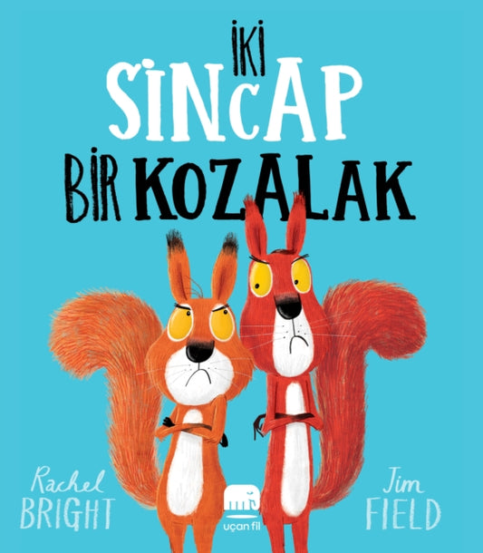 Iki sincap Bir Kozalak