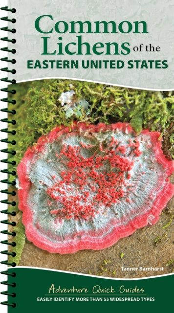 Common Lichens of the Eastern United States: Easily Identify 58 Widespread Types