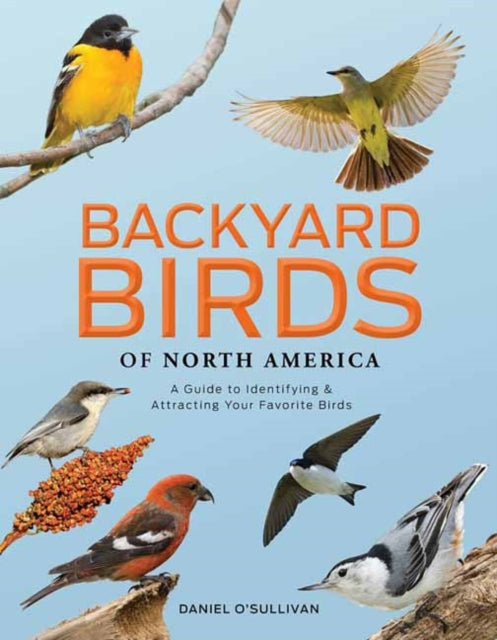 Backyard Birds of North America: A Guide to Identifying and Attracting Your Favorite Birds