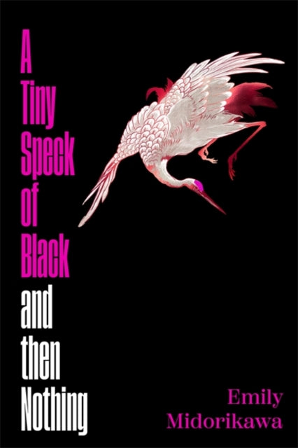 A Tiny Speck of Black and Then Nothing: Winner of the Lucy Cavendish Prize for Fiction