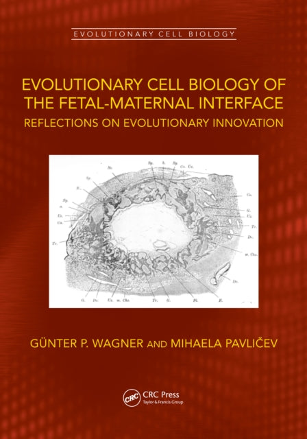 Evolutionary Cell Biology of the Fetal-Maternal Interface: Reflections on Evolutionary Innovation