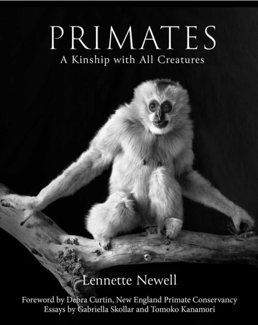 Primates: A Kinship with All Creatures
