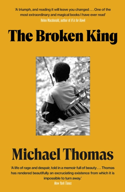 The Broken King