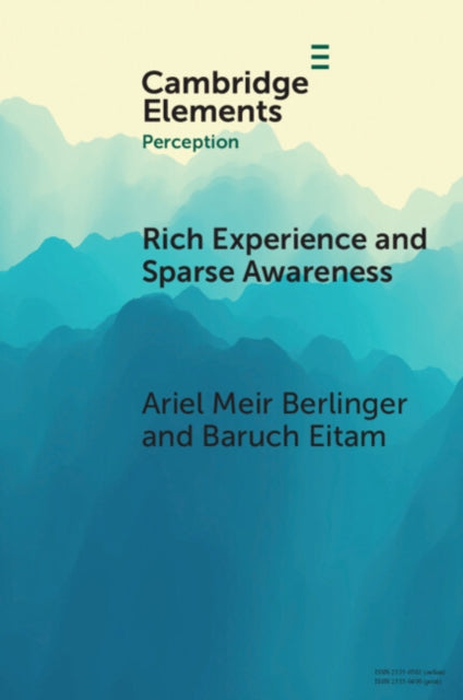 Rich Experience and Sparse Awareness: Sensing More Than We Know
