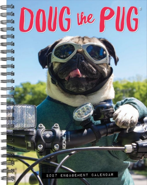 Doug the Pug 2027 Engagement
