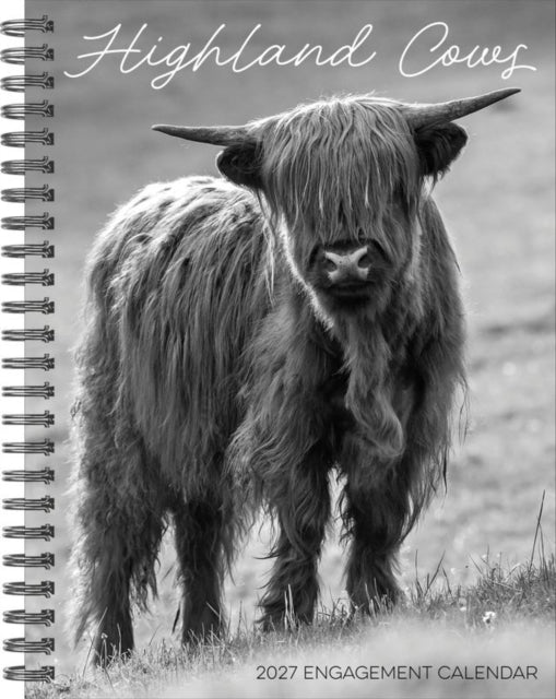 Highland Cows 2027 Engagement