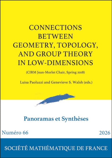 Connections Between Geometry, Topology, and Group Theory in Low-Dimensions