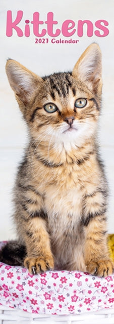 Kittens Slim