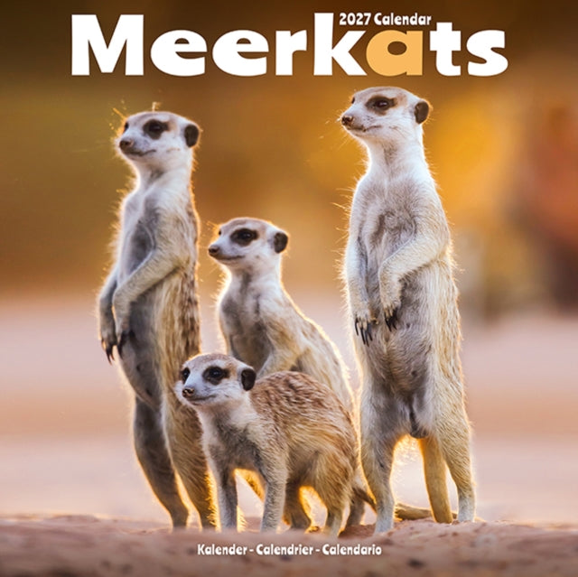 Meerkats